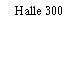Halle 300