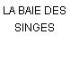 LA BAIE DES SINGES