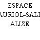 ESPACE J.AURIOL-SALLE ALIZE