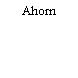 Ahorn