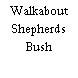 Walkabout Shepherds Bush