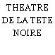 THEATRE DE LA TETE NOIRE