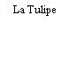 La Tulipe
