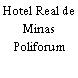 Hotel Real de Minas Poliforum