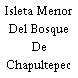 Isleta Menor Del Bosque De Chapultepec