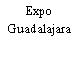 Expo Guadalajara