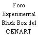 Foro Experimental Black Box del CENART
