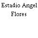 Estadio Angel Flores