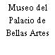 Museo del Palacio de Bellas Artes