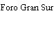 Foro Gran Sur