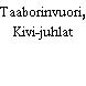 Taaborinvuori, Kivi-juhlat
