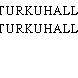 TURKUHALLI