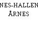 NES-HALLEN ÅRNES