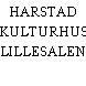 HARSTAD KULTURHUS LILLESALEN