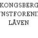 KONGSBERG KUNSTFORENING LÅVEN