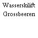Wasserskilift Grossbeeren