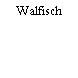 Walfisch
