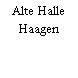 Alte Halle Haagen