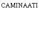 CAMINAATI