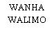 WANHA WALIMO