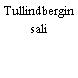 Tullindbergin sali