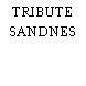 TRIBUTE SANDNES