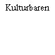 Kulturbaren