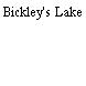 Bickley's Lake