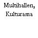 Multihallen, Kulturama