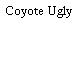 Coyote Ugly