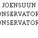 JOENSUUN KONSERVATORIO