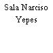 Sala Narciso Yepes