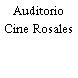 Auditorio Cine Rosales