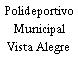 Polideportivo Municipal Vista Alegre