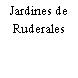 Jardines de Ruderales