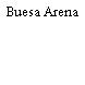 Buesa Arena