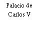 Palacio de Carlos V