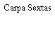Carpa Sextas