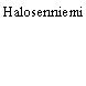 Halosenniemi