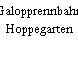 Galopprennbahn Hoppegarten
