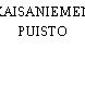 KAISANIEMEN PUISTO