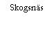 Skogsnäs