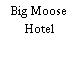 Big Moose Hotel