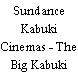 Sundance Kabuki Cinemas - The Big Kabuki