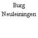 Burg Neuleiningen