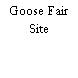 Goose Fair Site