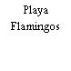 Playa Flamingos
