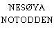NESØYA NOTODDEN