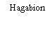 Hagabion