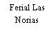 Ferial Las Norias